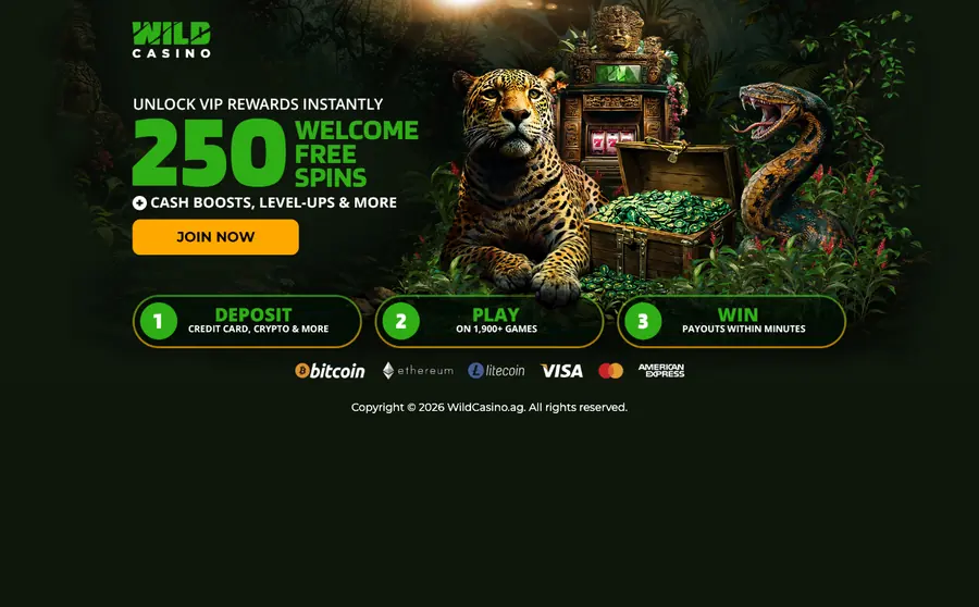 Wild Casino welcome offer as shown on its own site